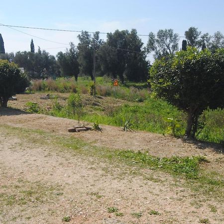 Anemomylos Apartments Lixouri Bagian luar foto