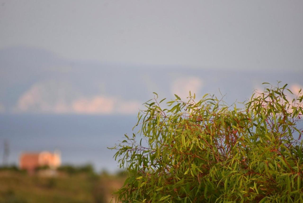 Anemomylos Apartments Lixouri Bagian luar foto